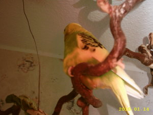 Christian 18. Geburtstag 011.JPG