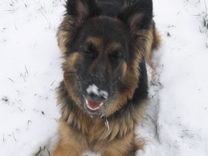 k-rosi wald det09 050.jpg