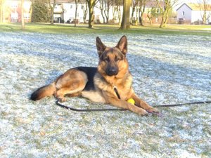 erste bilder 040 [640x480].jpg