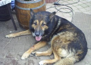 Bild 009 [640x480].jpg