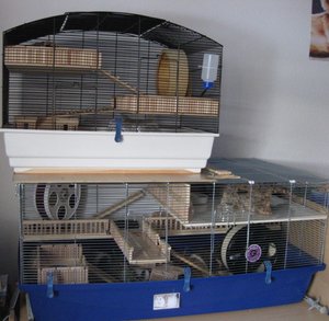 KÃ¤fig komplett mit Afubau.JPG