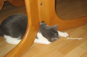 mit Maus und Spielzeug .013.jpg