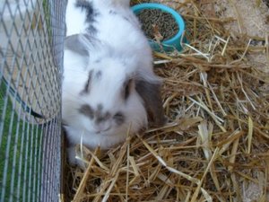 S7300001 [1600x1200].JPG