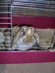 tustu [1600x1200].JPG