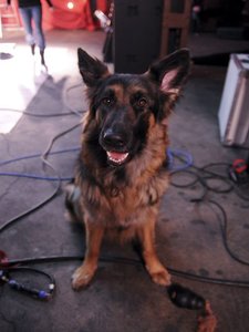 k-rosi und filmdreh 019.jpg