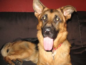 k-jimmy rosi 032.jpg