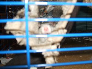 DSCF1183.jpg verkleinert.jpg