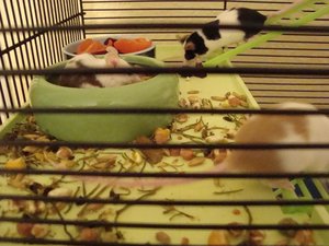 DSC01088.jpg verkleinert.jpg