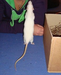 DSC01014.jpg verkleinert.jpg