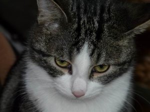 GrÃ¶ÃŸenÃ¤nderung P1040328.JPG