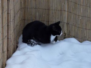 GrÃ¶ÃŸenÃ¤nderung P1040342.JPG