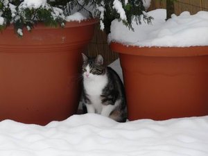 GrÃ¶ÃŸenÃ¤nderung P1040352.JPG