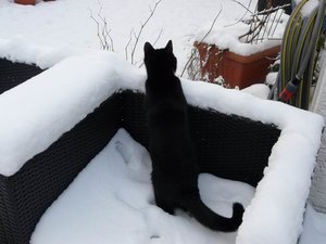 GrÃ¶ÃŸenÃ¤nderung P1040356.JPG