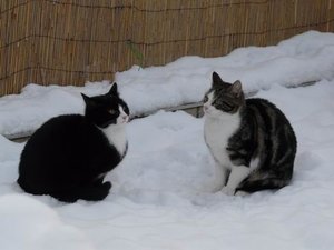 GrÃ¶ÃŸenÃ¤nderung P1040359.JPG