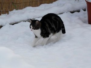 GrÃ¶ÃŸenÃ¤nderung P1040355.JPG