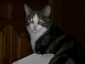 GrÃ¶ÃŸenÃ¤nderung P1040388.JPG