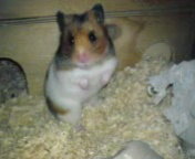 Kamerabilder 349.jpg