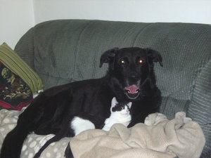 Ben 1 002 (FILEminimizer).JPG