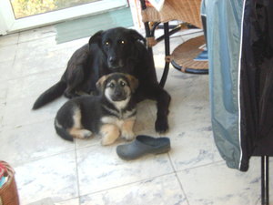 Ben 1 102 (FILEminimizer).JPG