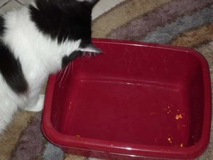 P1000233 wasser klein.jpg