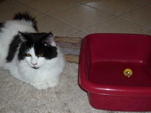 P1000239 thor klein.jpg