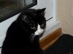 GrÃ¶ÃŸenÃ¤nderung P1040478.JPG