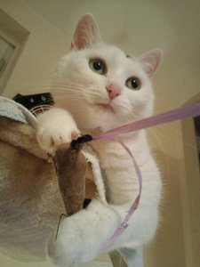 Lissy und ihre Maus.jpg