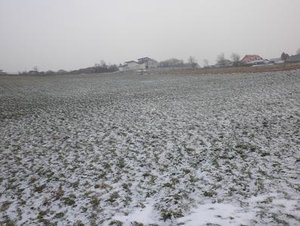 fame versteckt tierforum.jpg