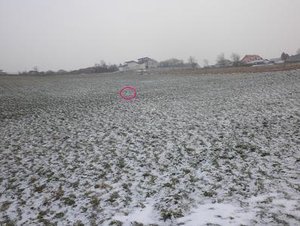 fame versteckt tierforum.jpg