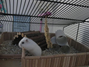 lilly schaut runter.JPG