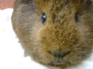 Kamerabilder 264.jpg