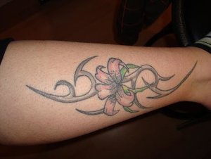 DSC01283.jpg verkleinert.jpg