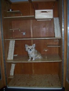 katiimkÃ¤fig 001.jpg