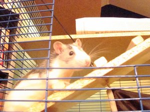 DSC00974.jpg verkleinert.jpg