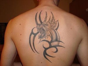 DSC01291.jpg verkleinert.jpg