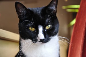 DSC_0074.JPG DSC_0074.JPG