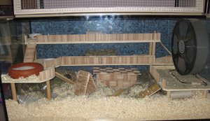 1fertig von vorne.JPG