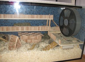 3fertig rechte seite.JPG