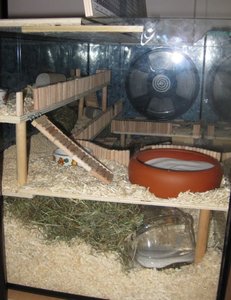 2fertig von linker seite.JPG