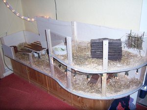 forum hr.SchrÃ¶der.jpg