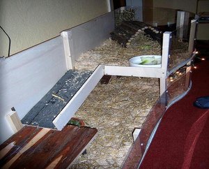 forum hr.schrÃ¶der2.jpg