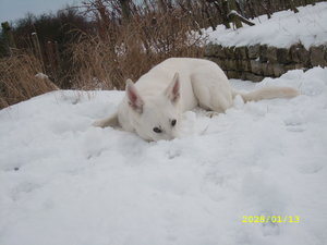 Bilder doppelt(lÃ¶schware) 057.JPG