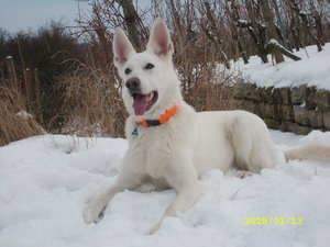 Bilder doppelt(lÃ¶schware) 060.JPG