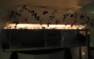 hamsterkÃ¤fig dunkel.jpg