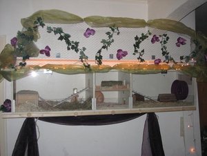 hamsterkÃ¤fig hell.jpg