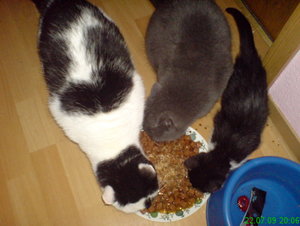 DSC00625_2_BildgrÃ¶ÃŸe Ã¤ndern.JPG