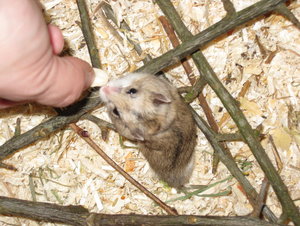 leckerli von KG nehmen.JPG leckerli von KG nehmen.JPG