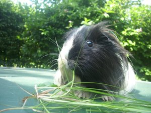 Kamerabilder 136.jpg