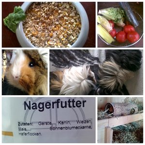 ein mix aus dem meerie.jpg