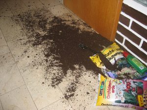 Merlin und Mogli 094.jpg